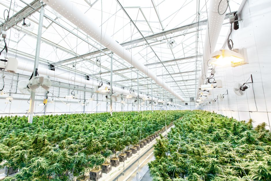 How to pass Greenhouse and Lever applicant tracking systems