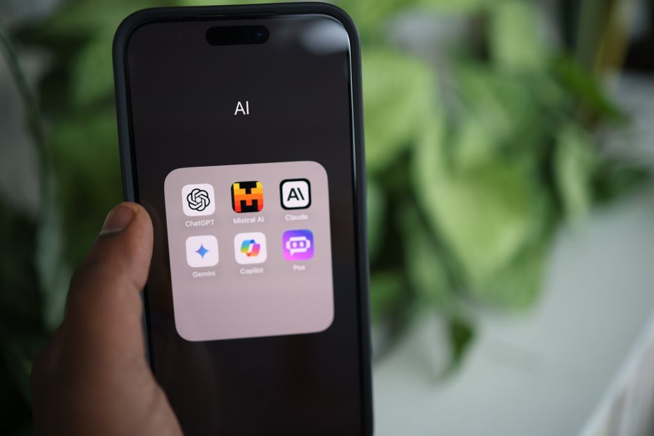 What steps can an applicant take to speed up a Canada Express Entry application with an AI tool